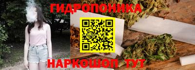 гидра Пенза