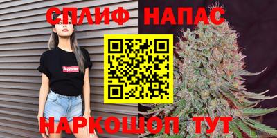 гидра Пенза
