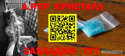 винт Партизанск